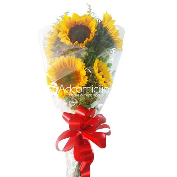 Bouquet de Girasoles x 5 