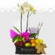 Regalo De Orquídea Con Frutas A Domicilio En Bogotá 