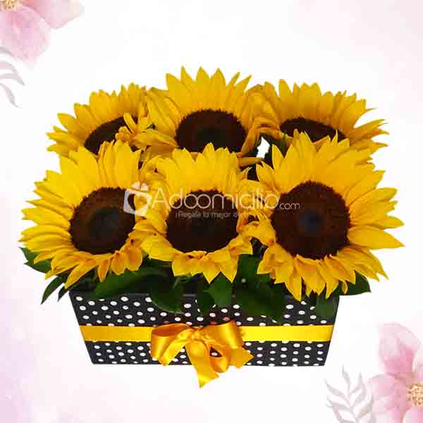 Caja De Girasoles Dia De La Madre Arreglos De Flores A Domicilio En Pereira