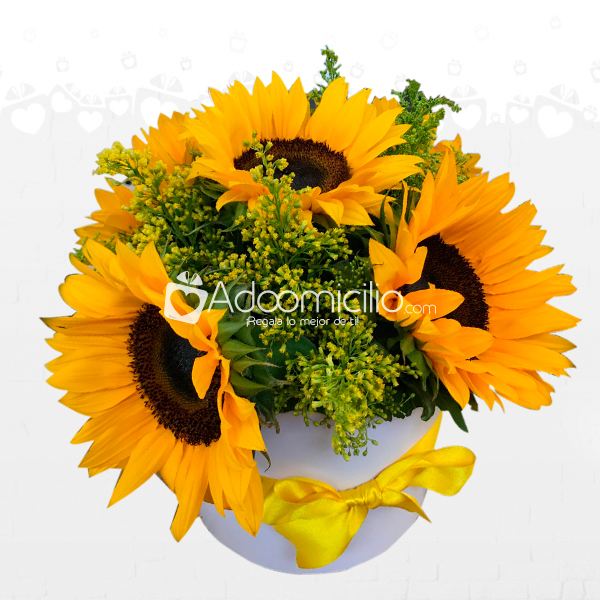 Girasoles Coquetos Arreglos Florales A Domicilio En Cartagena