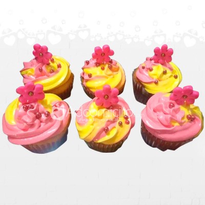 Fantasía Estuche De Cupcakes x 6 A Domicilio En Cartagena