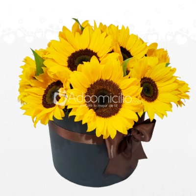 Caja De Girasoles A Domicilio En Popayan Arreglos Florales