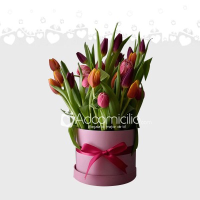 Arreglo Floral Tulip&tulip Grande Pedido con un día Anticipado En México