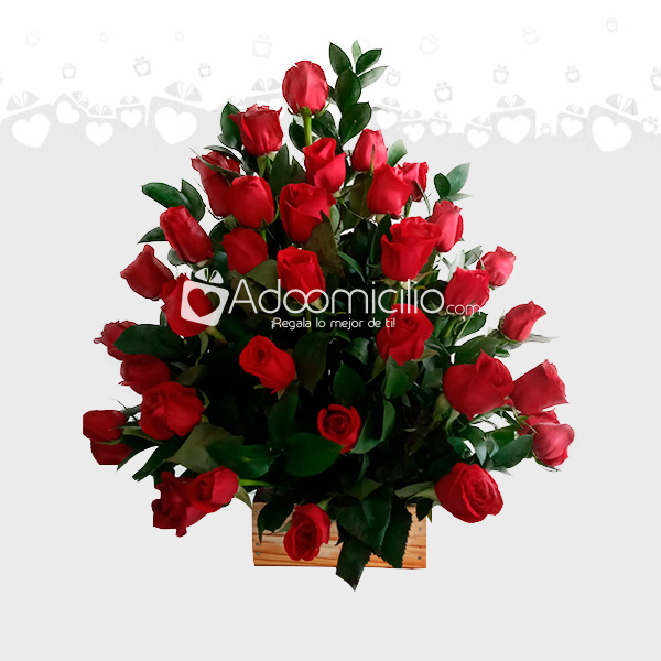 Arreglo Floral Hermosa rosas Rojas 