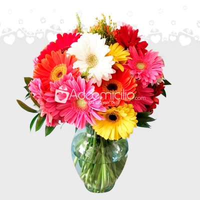 ARREGLO FLORAL DE GERBERAS CDMX